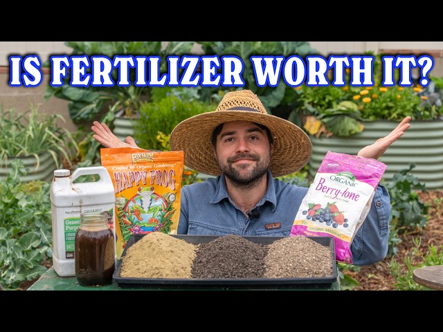 Why I've Changed How I Fertilize My Garden