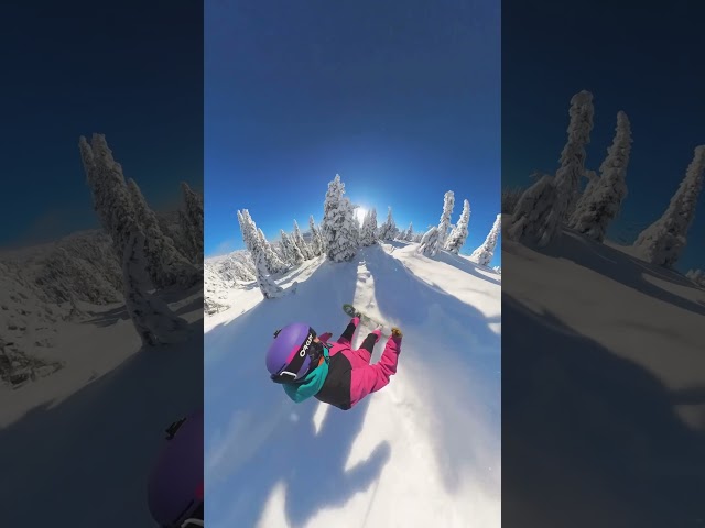 February Bluebird #skibigwhite #canada #explorebc #snowboarding