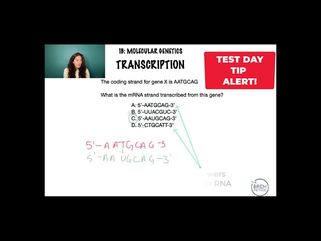 1B-1 DNA and RNA Sequencing in Transcription on the MCAT - Part 2