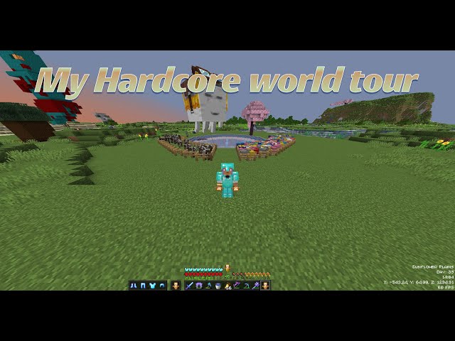 my 38 days hardcore  world tour