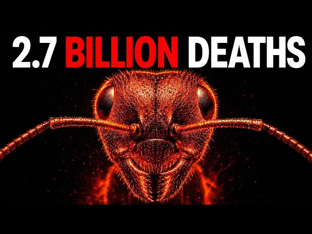 The Biggest War Between Species on Planet Earth