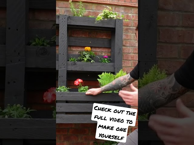 Everybody Wants One Of These - Pallet Upcycle Idea #shorts
