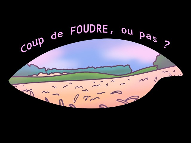 Diagnostic cultural : Observer sa parcelle (partie 2)