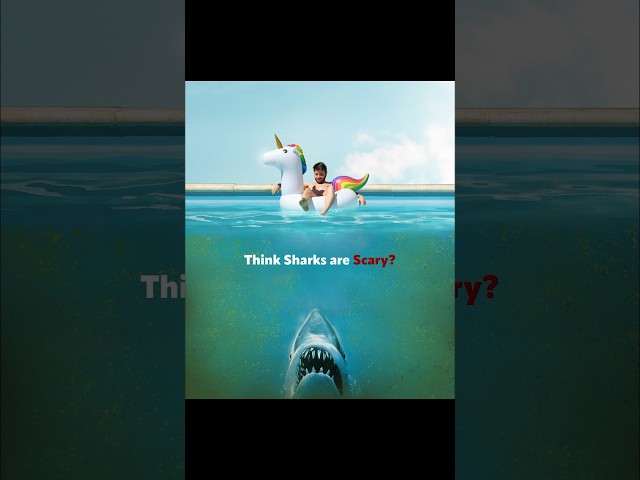 3 Pool Problems Scarier Than a Shark