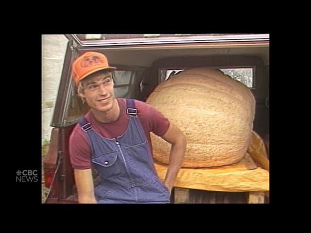 Rose City Rewind: Farmers bring their biggest pumpkins to Blenheim