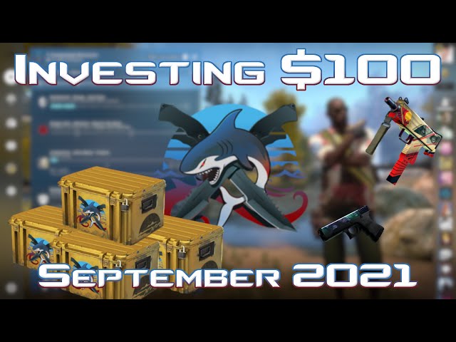 Investing $100 in CS:GO Month 4: September