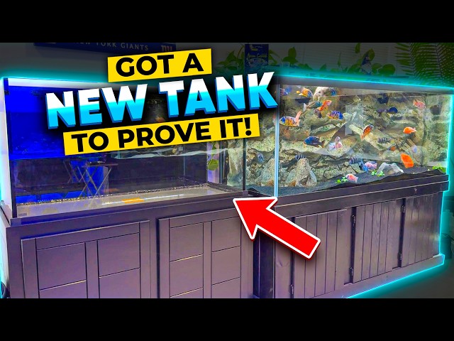The Tap Water Saltwater Aquarium Experiment! Will It Work?