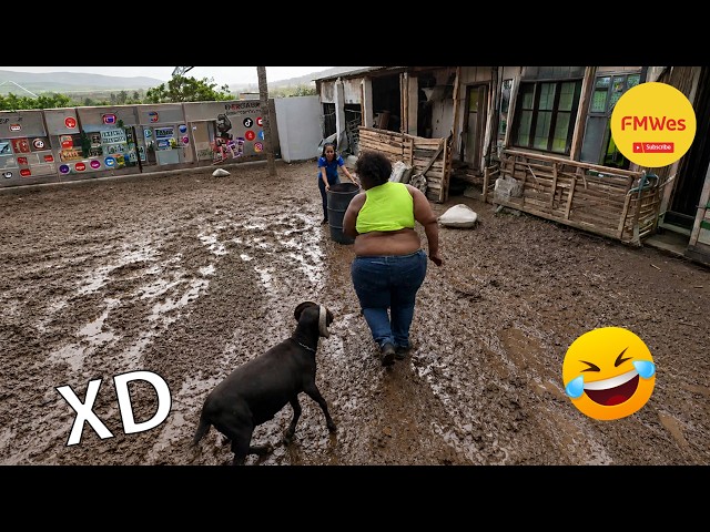 Funny Videos 🤣 If You Laugh You Lose GOD LEVEL #739 😎Mexican Viral Humor🤣