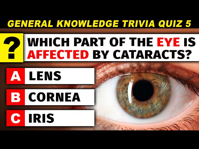 25 Questions General Knowledge Trivia Mix | Daily Trivia Quiz Round 5