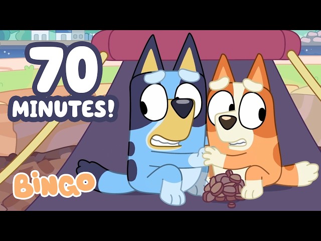 Watch out for Pirates! 🛶🧡 | Bingo - Official Channel