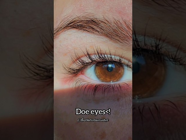 different types of eyes!