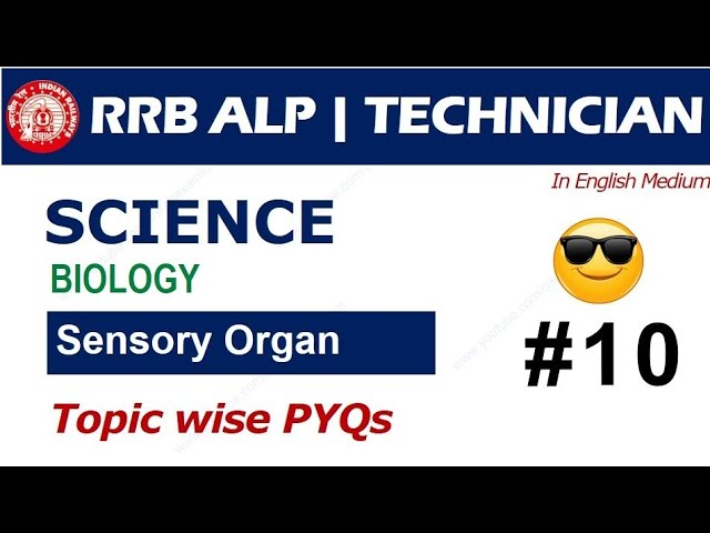 General Science for RRB ALP Technicians | Biology - Sensory Organs