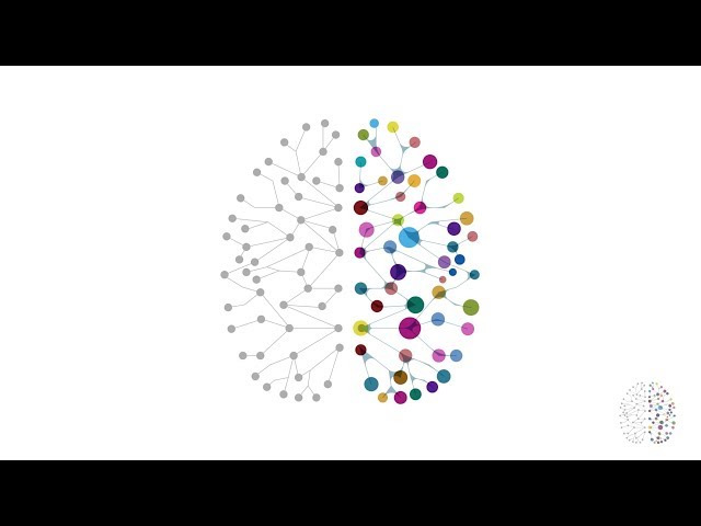 Neuroplasticity Explained