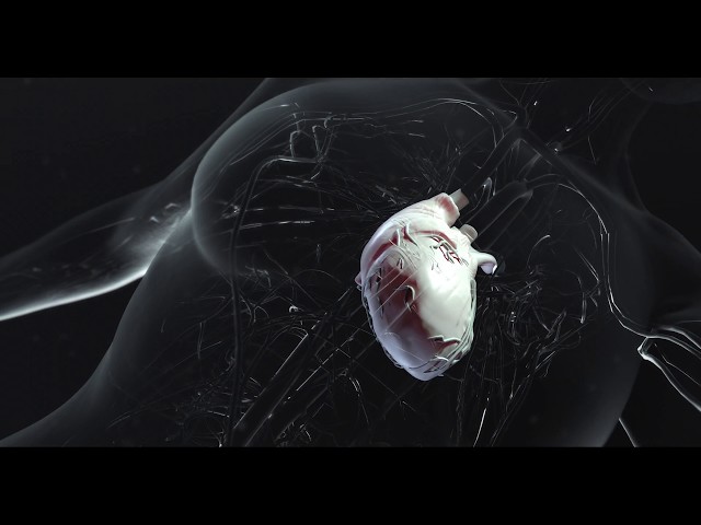 CompBioMed Virtual Humans Film