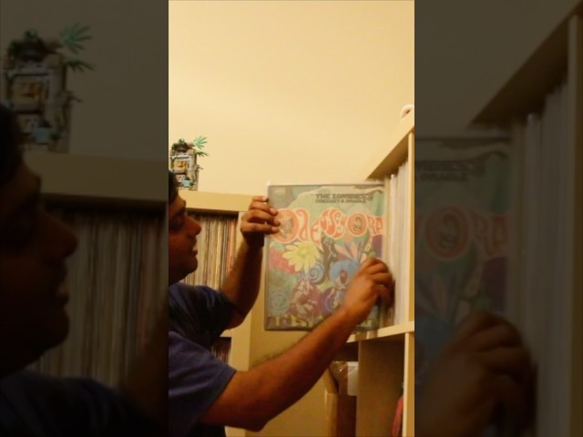 INSANE HOLY GRAILS with Raja Anne #vinyl
