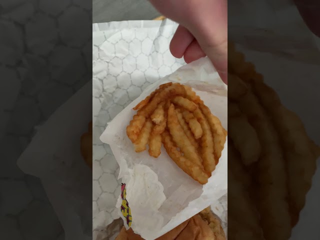 I tried the MrBeast Burger and it was GREAT..