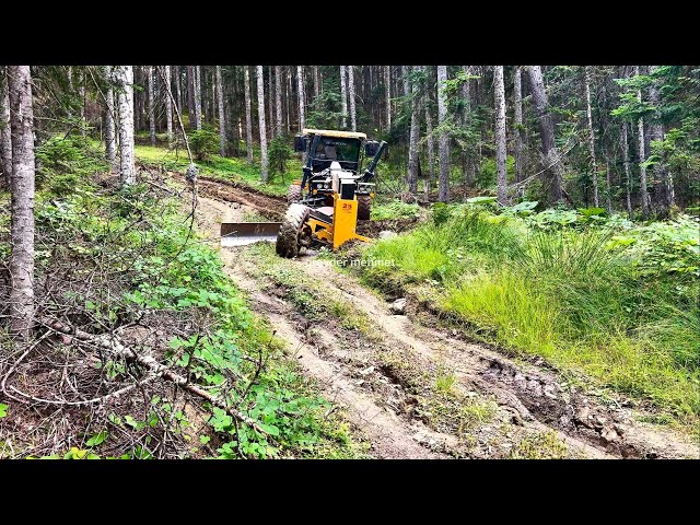 How did the Deere grader and its operator get out of the swamp? #grader #johndeere