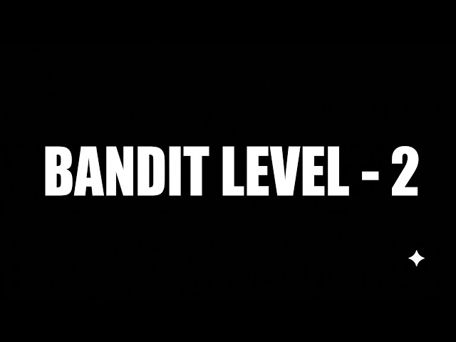 Bandit Level 2 (OverTheWire): One Filename, Two Problems