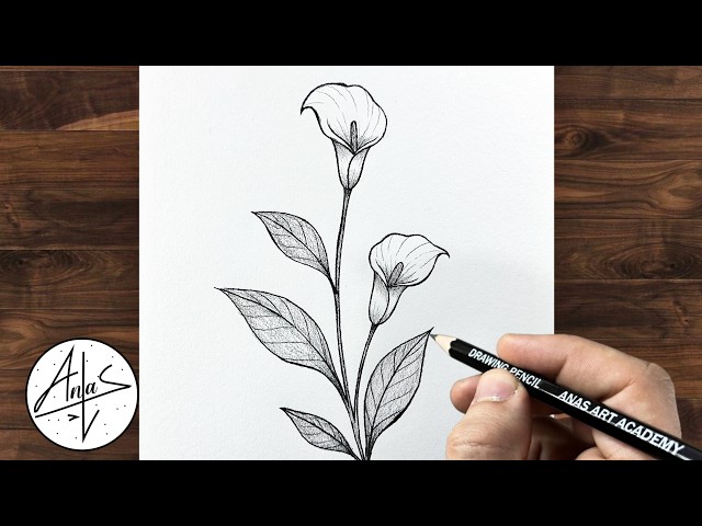 How to Draw a Beautiful Flower with Pencil ✏️ | Easy Flower Drawing Tutorial