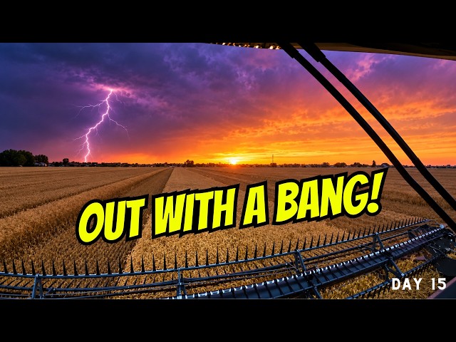 The Last Day of Wheat Harvest Was One to Remember!