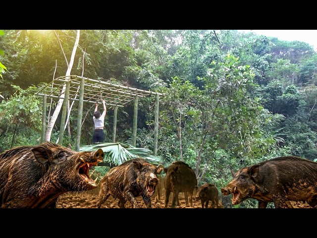 [TIMELAPSE] Building a Bamboo Tree House Against Wild Boars | Full Build