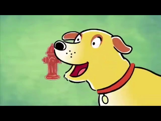 Martha was an average dog...