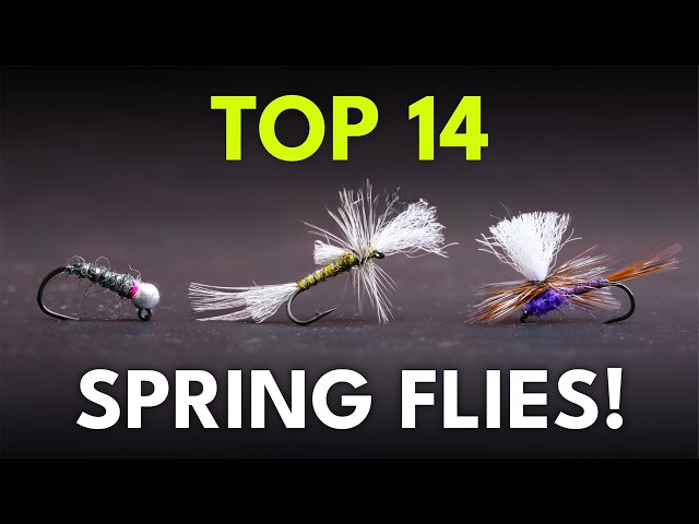 Best Spring Fly Fishing Flies: 14 Must-Have Patterns | Ep. 117