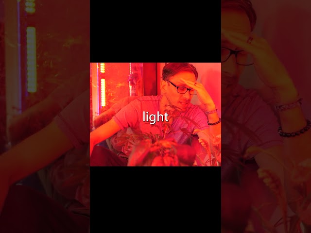Red Light Absorption Is Insane #plants #growtips