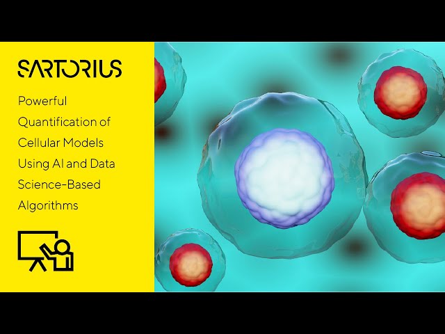 Label-Free Quantification of Cell Growth and Morphology Using AI and Advanced Data Analytics