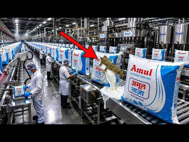 रोज़ पीने वाले Amul Milk की असलियत! 😱 | फैक्ट्री में कैसे तैयार होता है दूध?🥛🤯| How Amul Milk Is Made
