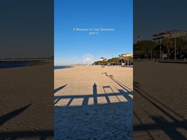 Bordeaux: Arcachon, Saint-Emilion & Rue Catherin 🇨🇵 #bordeaux #france #travel