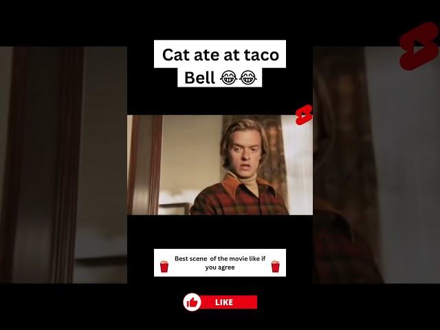 Cat ate at taco Bell 😂😂 #comedy #fart  #funnyvideo #shorts