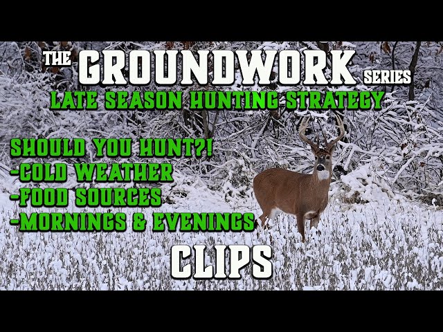 Late Season Deer Hunting | Cold Weather, Food, Mornings or Evenings?