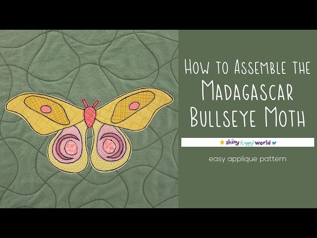 How to Assemble the Madagascar Bullseye Moth Applique Quilt Pattern