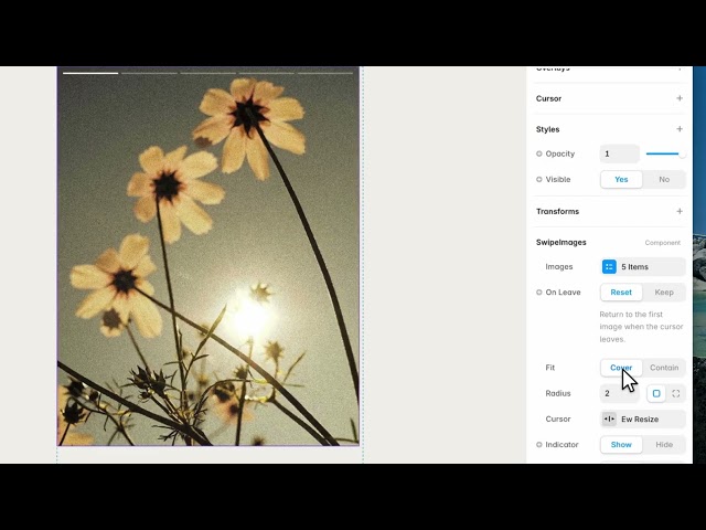 Scrub Through Images With Your Cursor in Framer