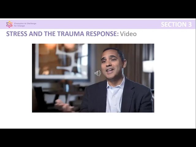 ACE Support Hub E-Learning Training