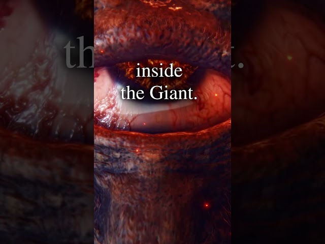 The Importance of Stomachs | Elden Ring Lore