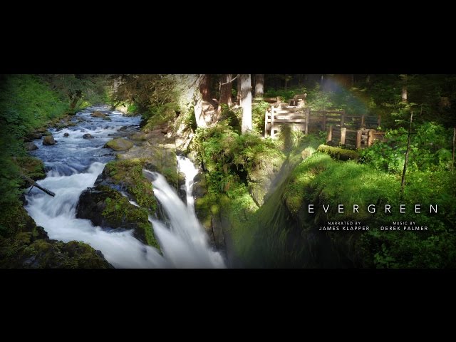 EVERGREEN - A Feature Documentary (60FPS Version - Rainier, St. Helens, Olympic, North Cascades)