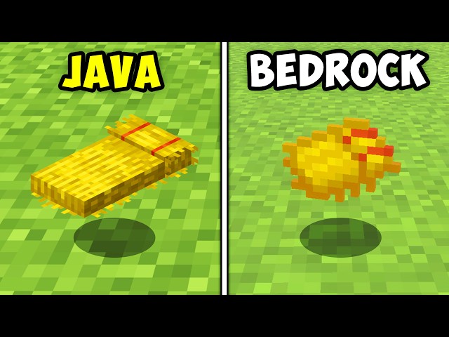 129 Minecraft Java vs Bedrock Differences!