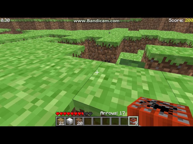 Minecraft survival test