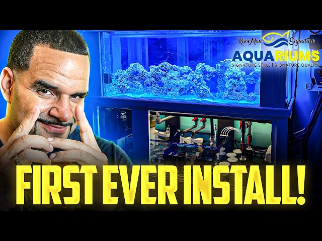 KaveMan Signature Aquariums – FIRST EVER CUSTOM AQUARIUM INSTALL!