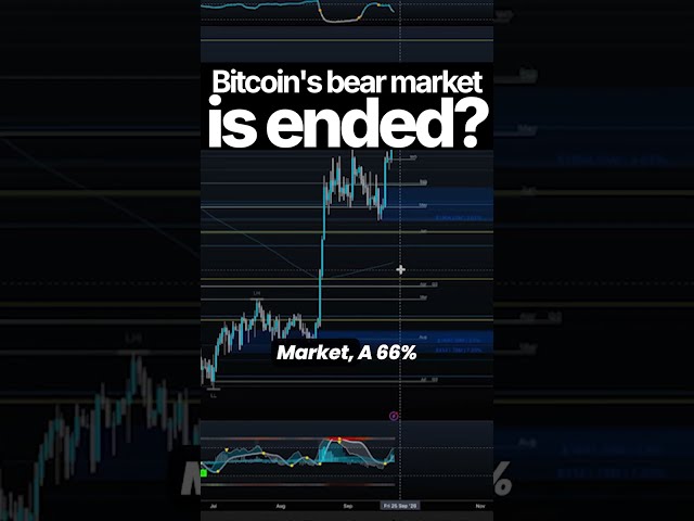 66% Bitcoin Bull Market Chance 📈 Unexpected Surge
