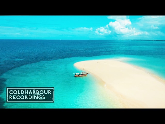 ReDub - Shorelines | Official Music Video