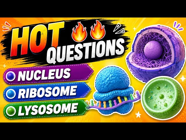 🔥🔥Hot questions on nucleus ribosome lysosome for class 9 and 10 from NCERT