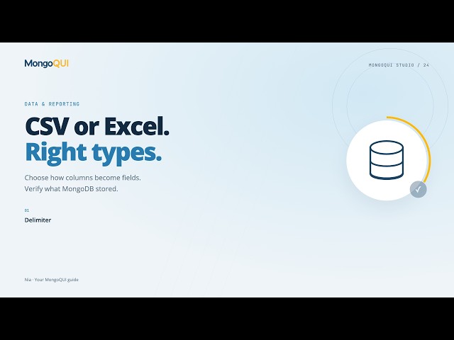 Import CSV and Excel with Correct Field Types | MongoQUI