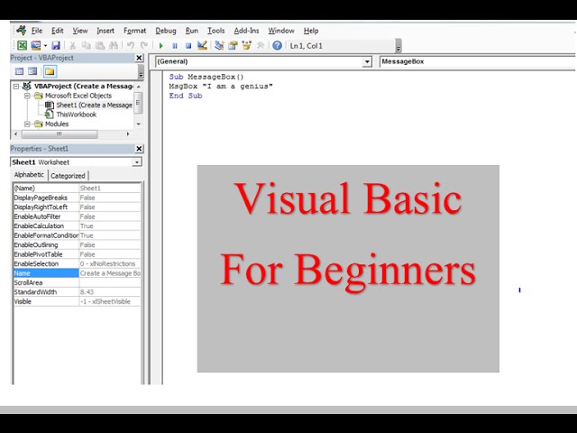 Visual Basic for Learners 1. Some basic code and commands