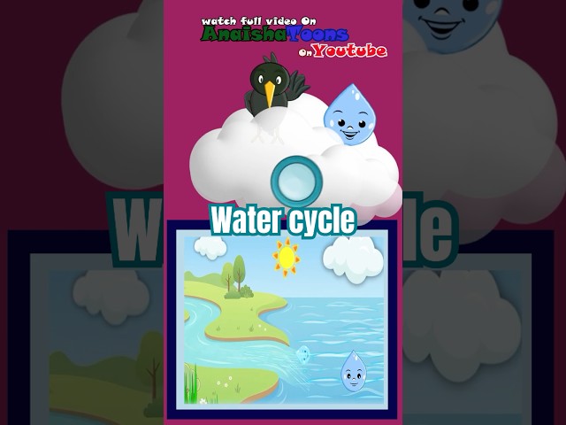 Water Cycle Made EASY 💧 | Learn in 45 Seconds!