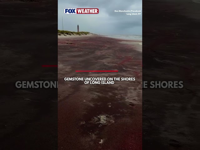 Garnet Uncovered Along Long Island Shore After Powerful Nor’easter