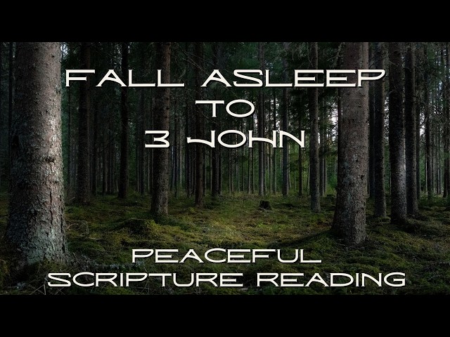 Fall Asleep to the Book of 3 John | Peaceful Scripture Reading (Audio & Text)