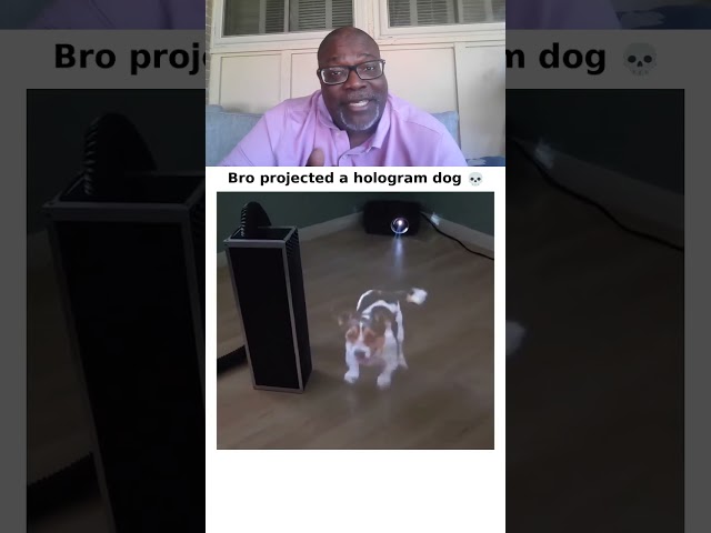 This Ain't AI — Somebody Projected A Hologram Dog